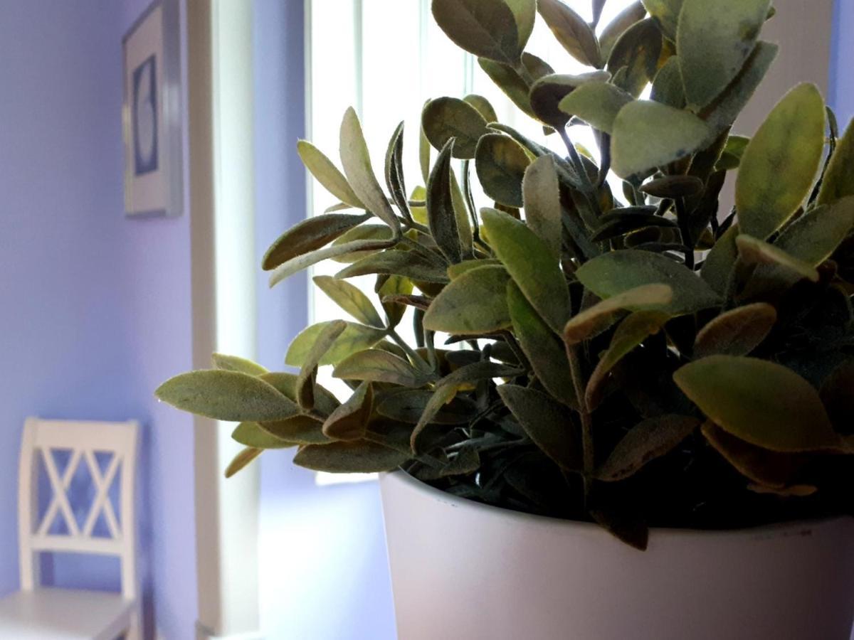 Casa Joya Bed & Breakfast Góis Екстериор снимка